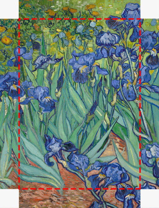 Irises for Custom Canvas
