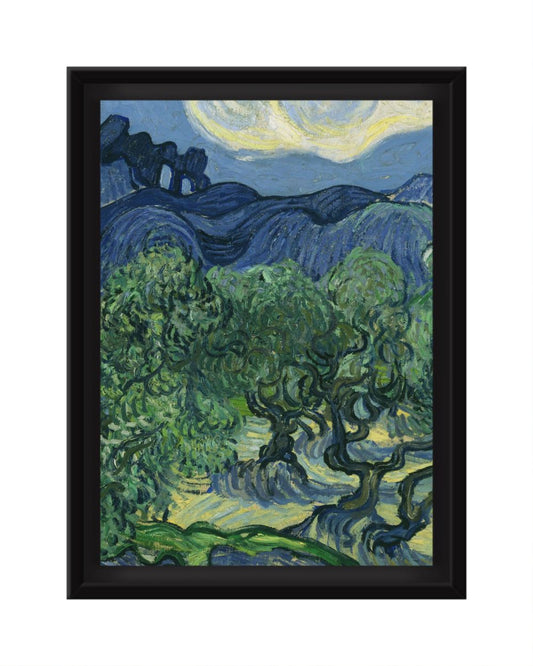 Olive Trees Canvas